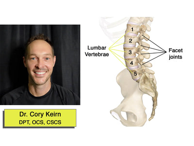Types of Low Back Pain (LBP), Treatment & Prevention Tips!
