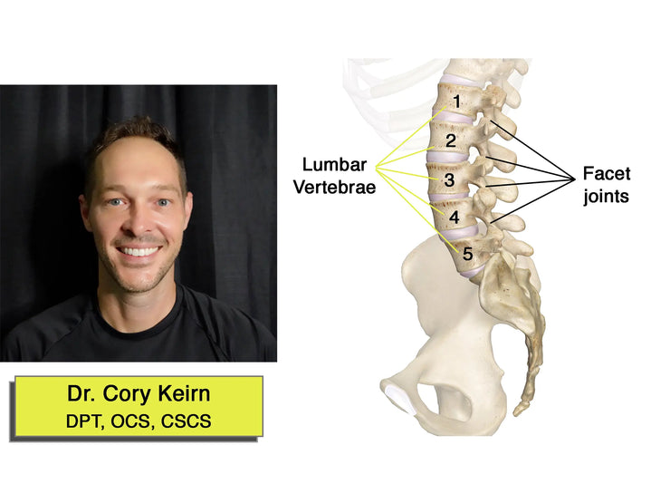 Types of Low Back Pain (LBP), Treatment & Prevention Tips!