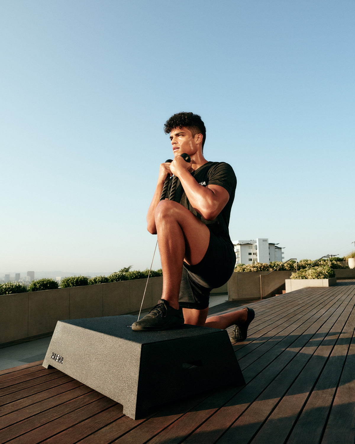 alt:The ARENA Platform